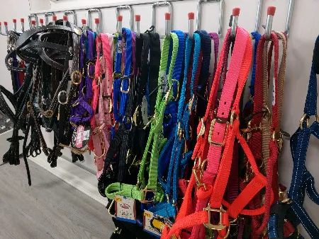 Halfter proEqui Reitsportgeschäft Halfter proEqui Reitsportgeschäft