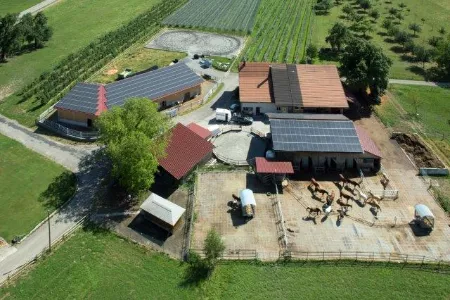 Vogelperspektive Fohlenweide Bodensee Vogelperspektive Fohlenweide Bodensee